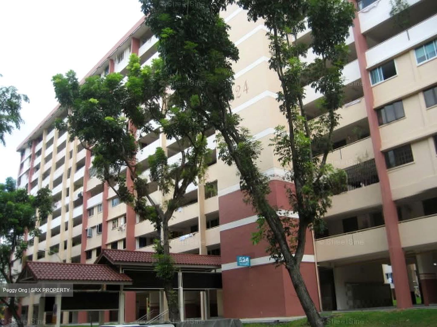 Blk 524 Ang Mo Kio Avenue 5 (Ang Mo Kio), HDB 5 Rooms #592785931